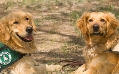 Pet Therapy Has Its Place in Healthcare